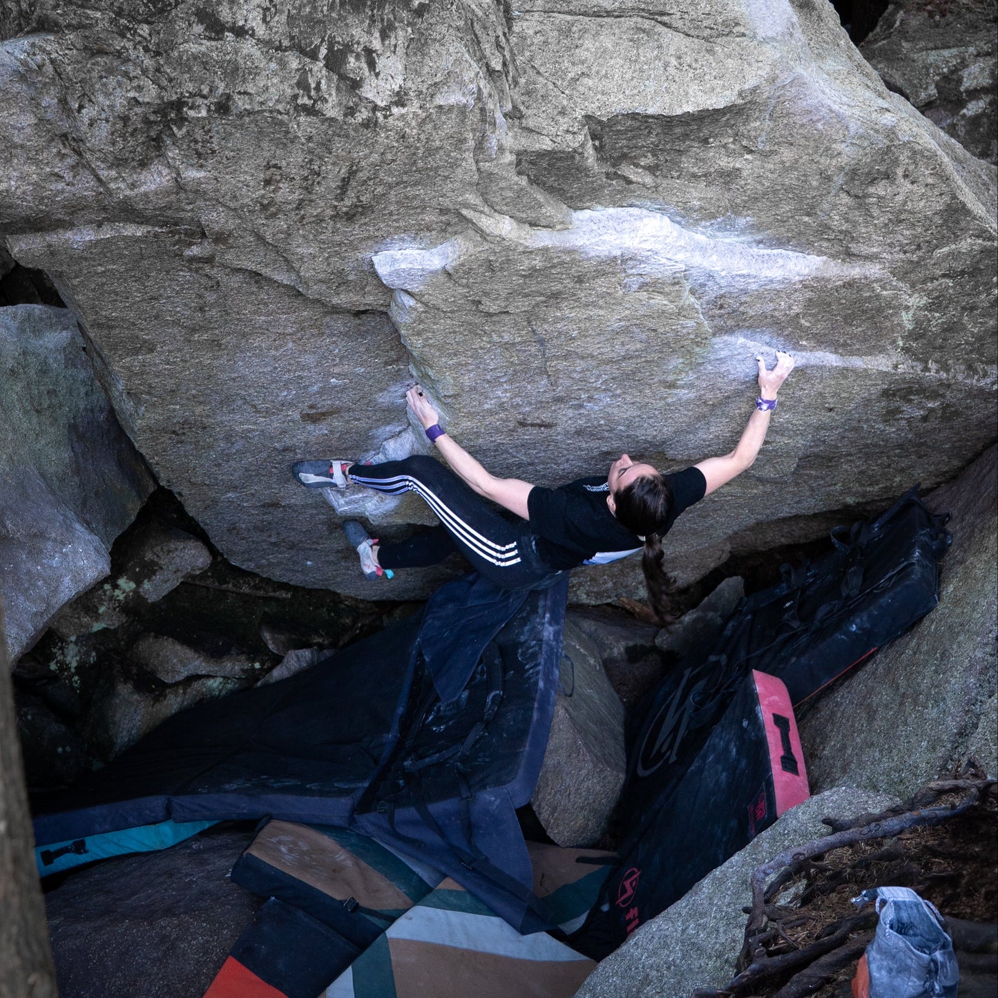 Once Upon a Time Crop Top V1