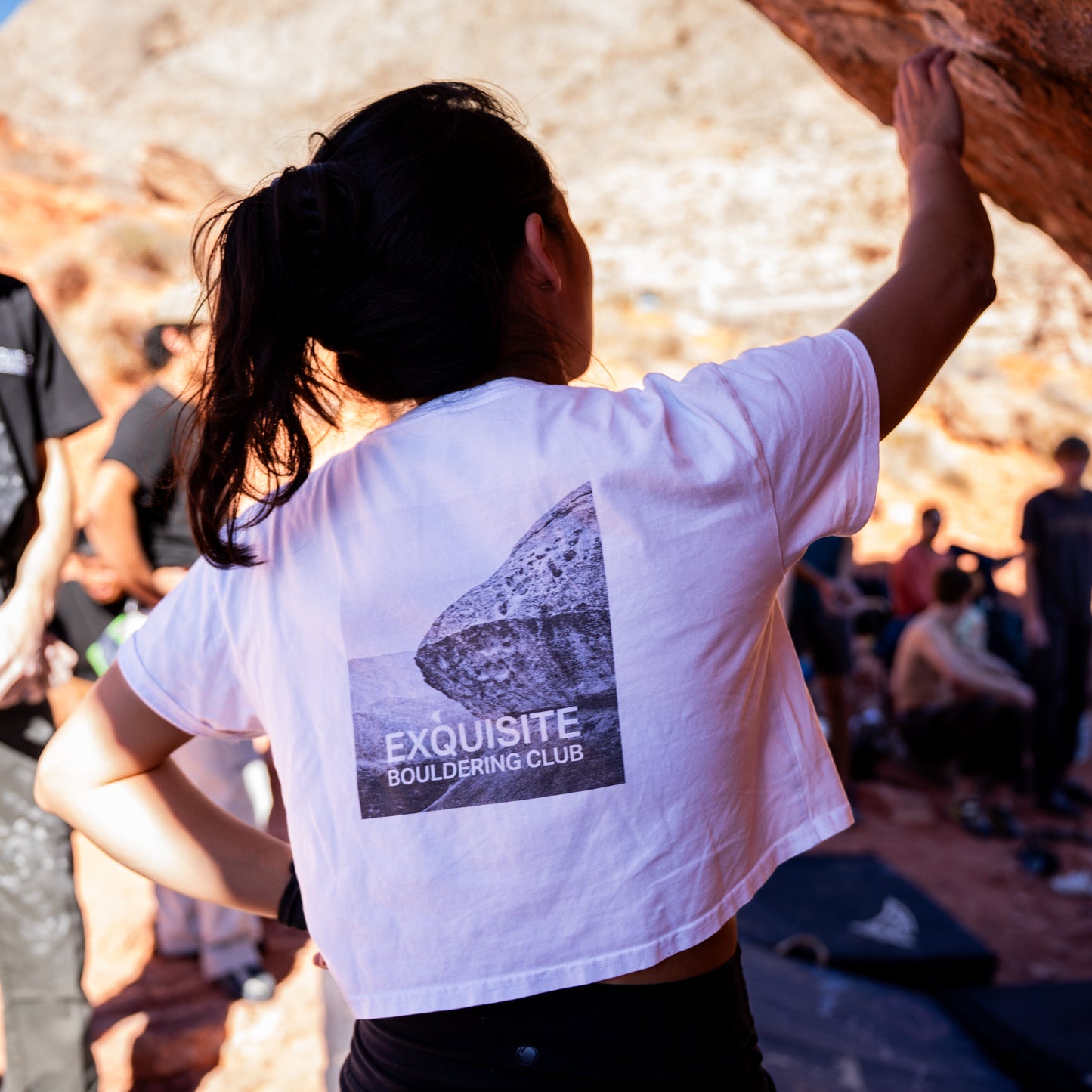 Once Upon a Time Crop Top V1